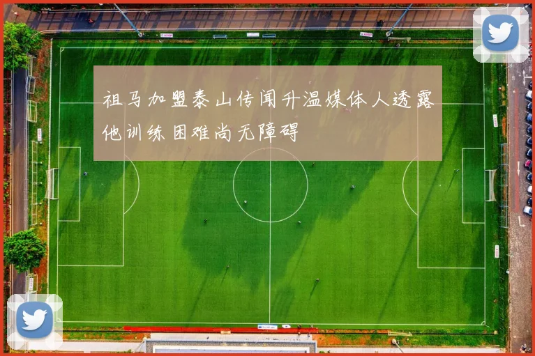 祖马加盟泰山传闻升温媒体人透露他训练困难尚无障碍