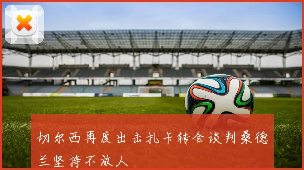 切尔西再度出击扎卡转会谈判桑德兰坚持不放人